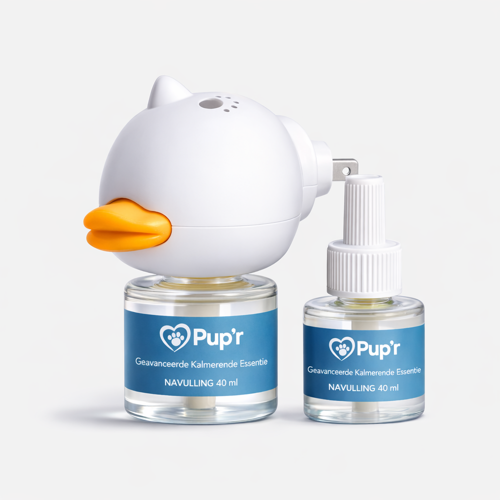 Shop je navulling <em>hier<em></em></em>