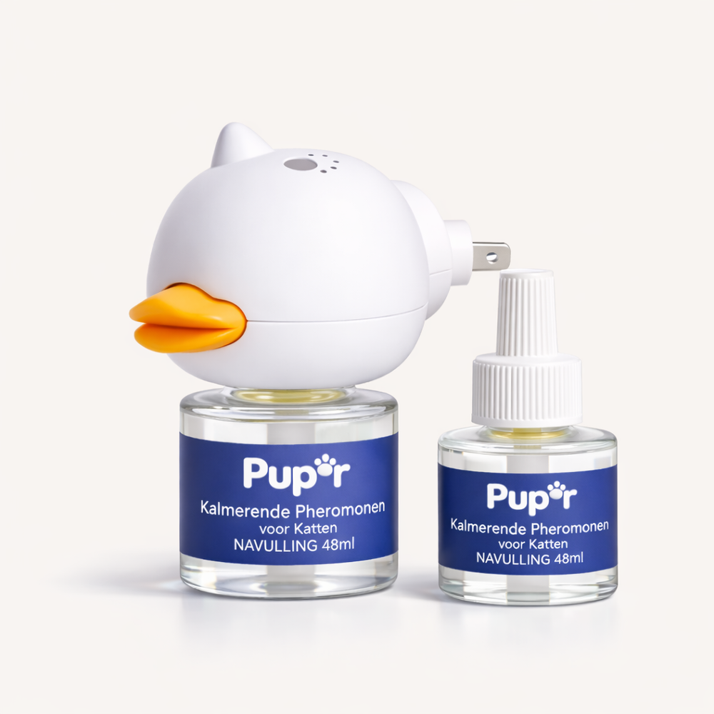 Bespaar op je <em>navulling <em></em></em>